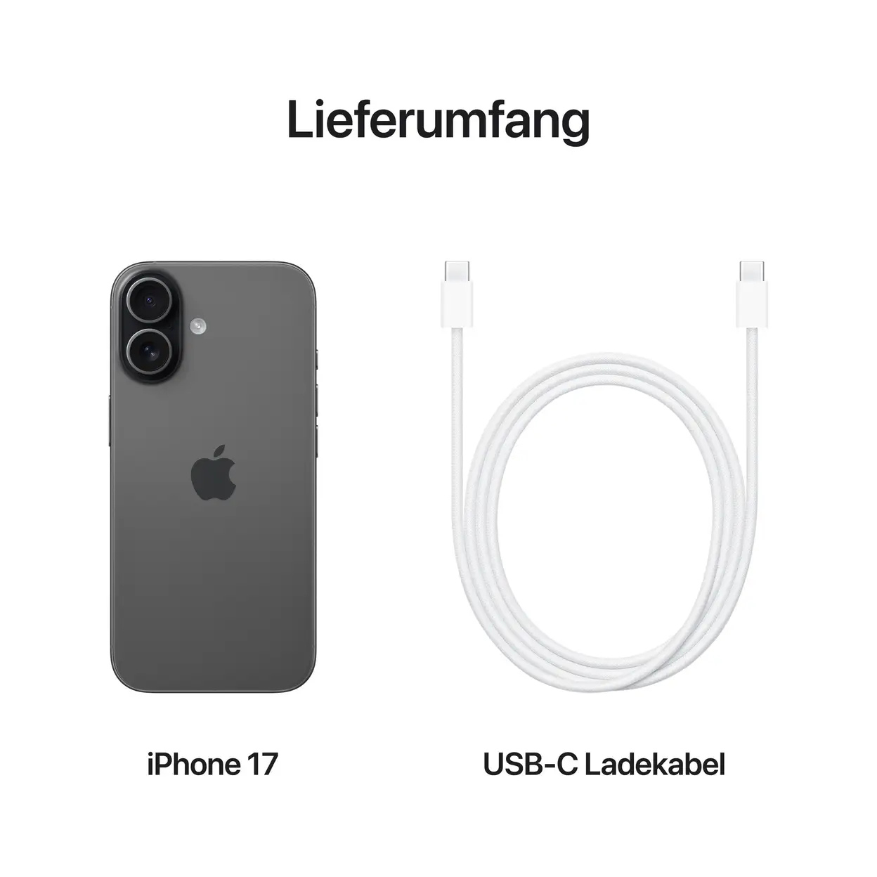 Apple iPhone 17 Schwarz — 512 GB